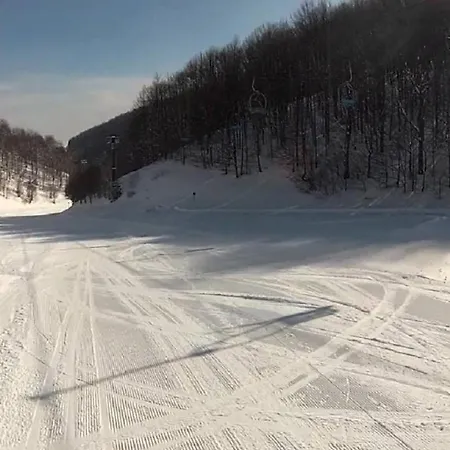 Kosuta - Kopaonik, 30m From Gondola