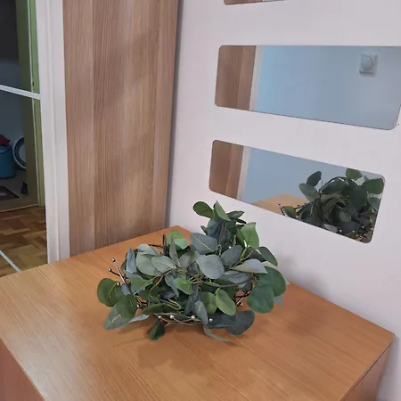 Kosuta - Kopaonik, 30m From Gondola