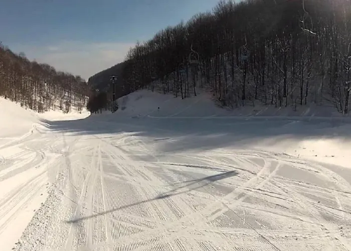 Kosuta - Kopaonik, 30m From Gondola