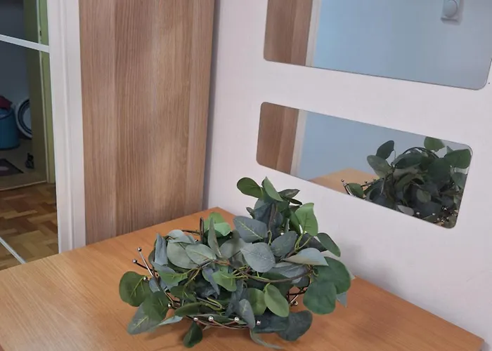 Kosuta - Kopaonik, 30m From Gondola